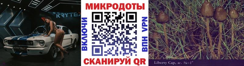Псилоцибиновые грибы GOLDEN TEACHER  мега ссылки  Севск 